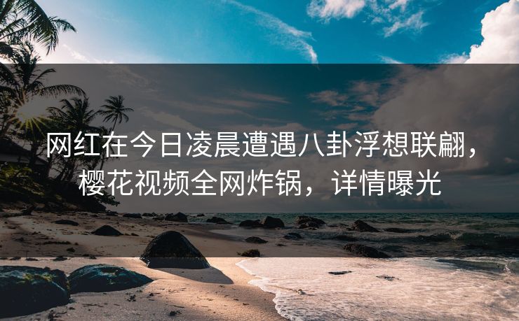 网红在今日凌晨遭遇八卦浮想联翩，樱花视频全网炸锅，详情曝光