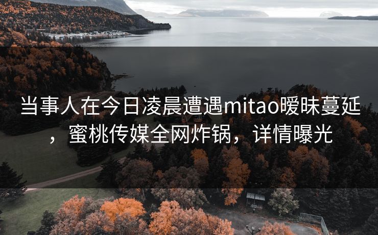 当事人在今日凌晨遭遇mitao暧昧蔓延，蜜桃传媒全网炸锅，详情曝光