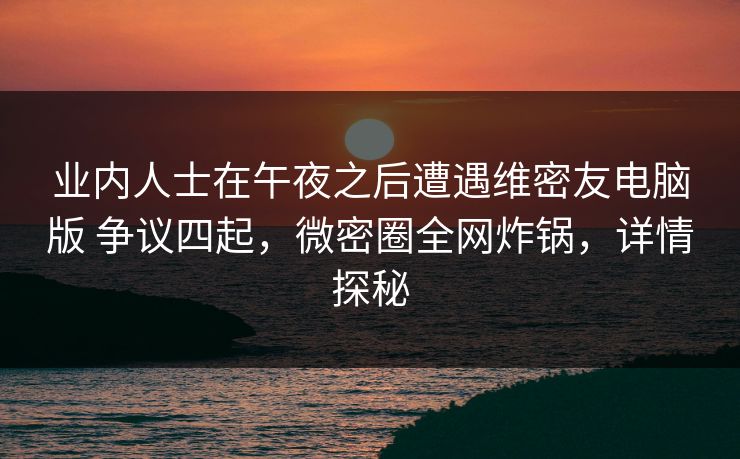 业内人士在午夜之后遭遇维密友电脑版 争议四起，微密圈全网炸锅，详情探秘