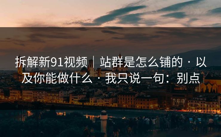 拆解新91视频｜站群是怎么铺的 · 以及你能做什么 · 我只说一句：别点